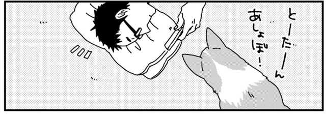 愛犬が遊んでアピール。拒否したら奥の手を使ってきた！