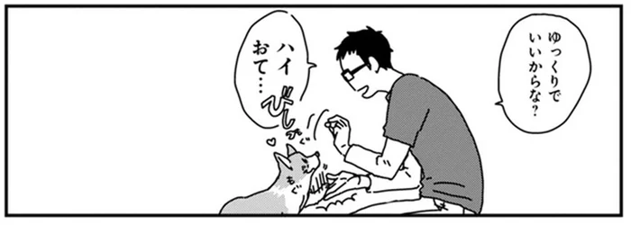 おやつさえあれば！芸を覚えるのに苦労しなかった仔犬時代