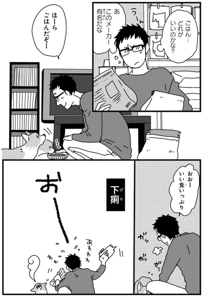 ごはんチョイス