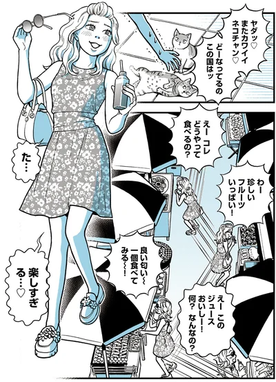 どーなってるのこの国はッ