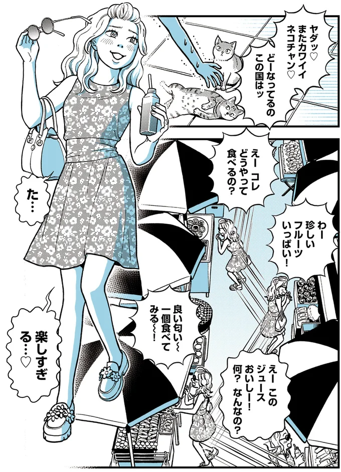 どーなってるのこの国はッ