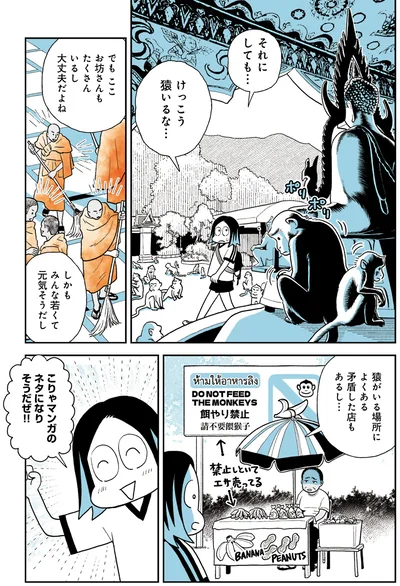 けっこう猿いるな…