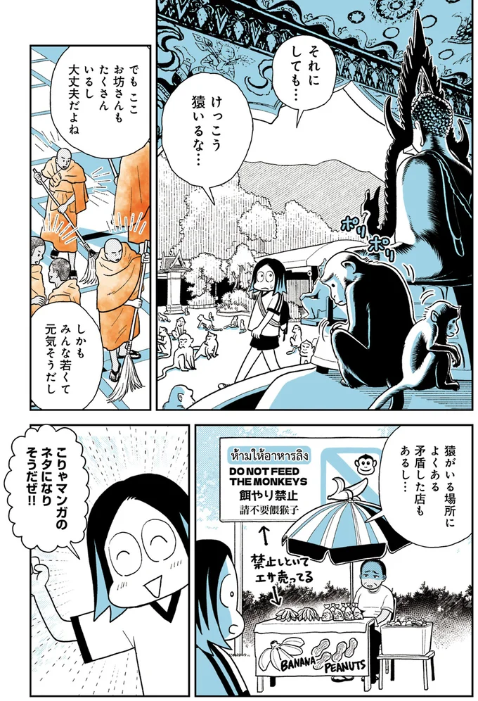 けっこう猿いるな…