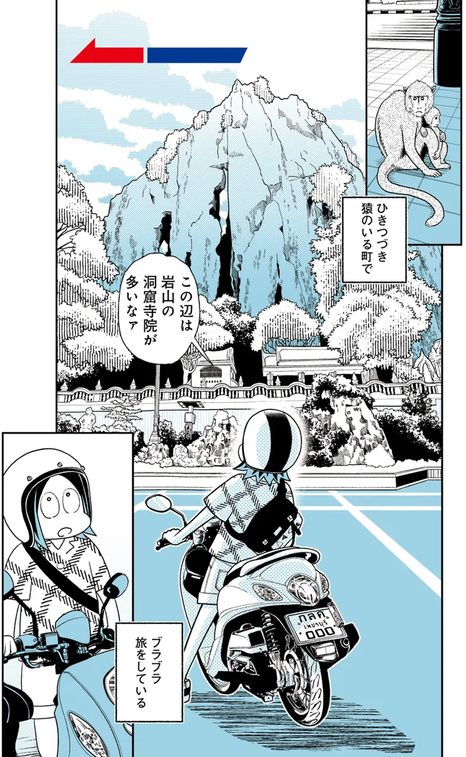 ひきつづき猿のいる町で…