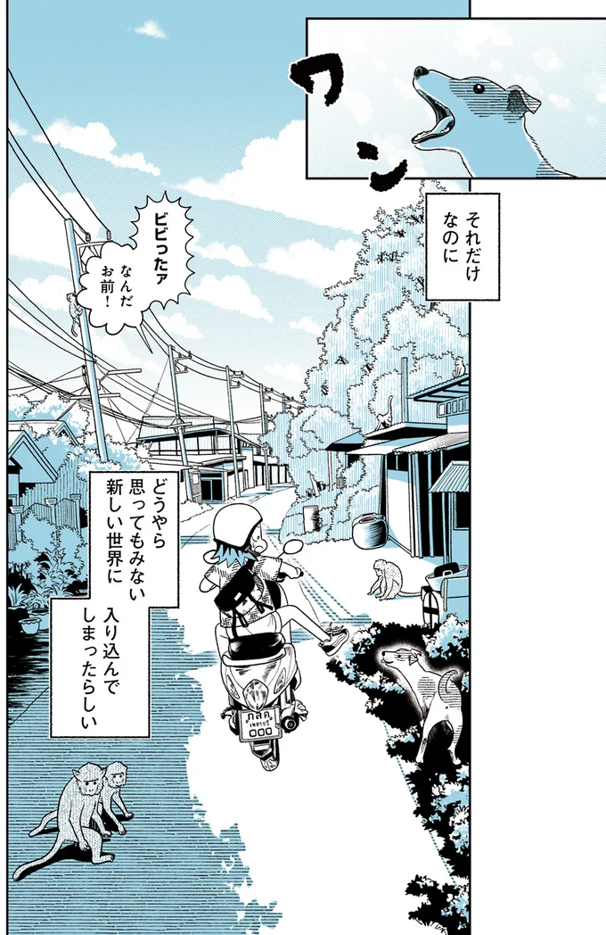 それだけなのに…