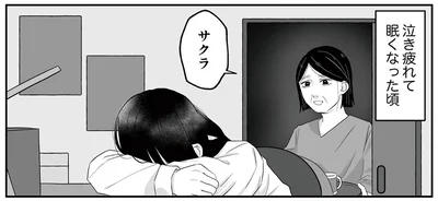 もう限界…！モラハラ父に耐えてきた母へ、娘が打ち明けたこと