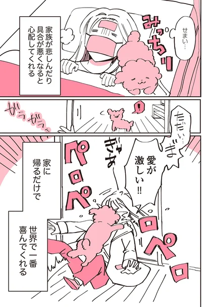 『うちのトイプーがアイドルすぎる。』より
