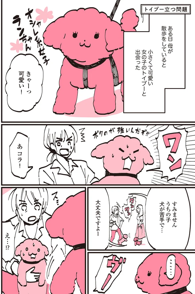 『うちのトイプーがアイドルすぎる。』より