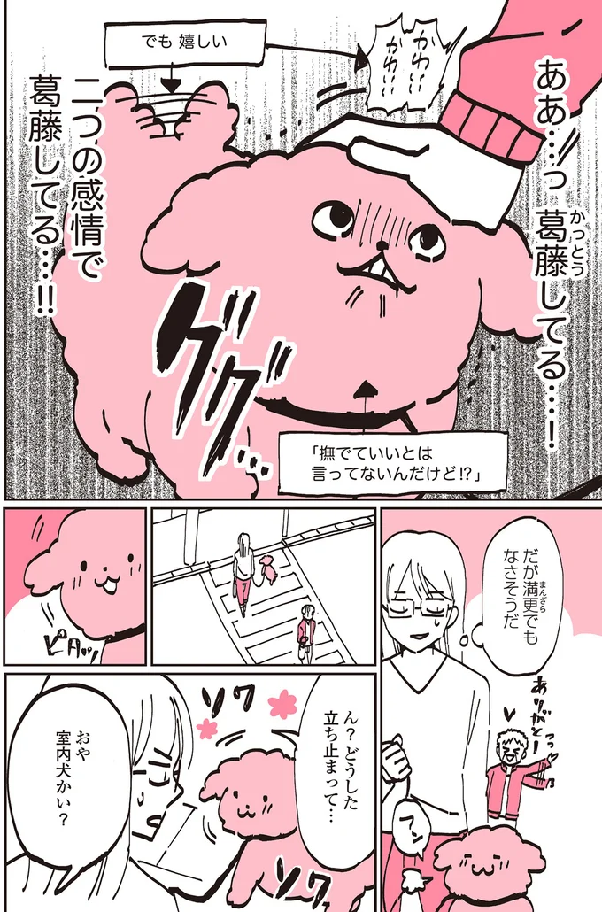 『うちのトイプーがアイドルすぎる。』より