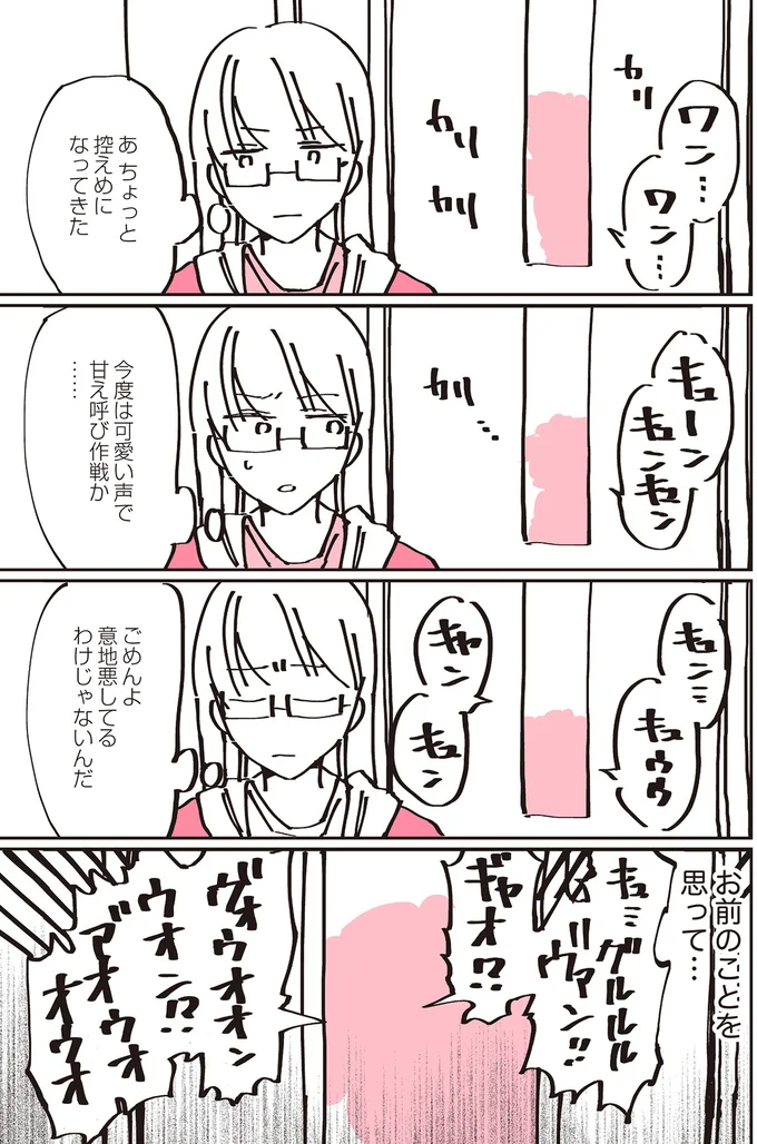 『うちのトイプーがアイドルすぎる。』より