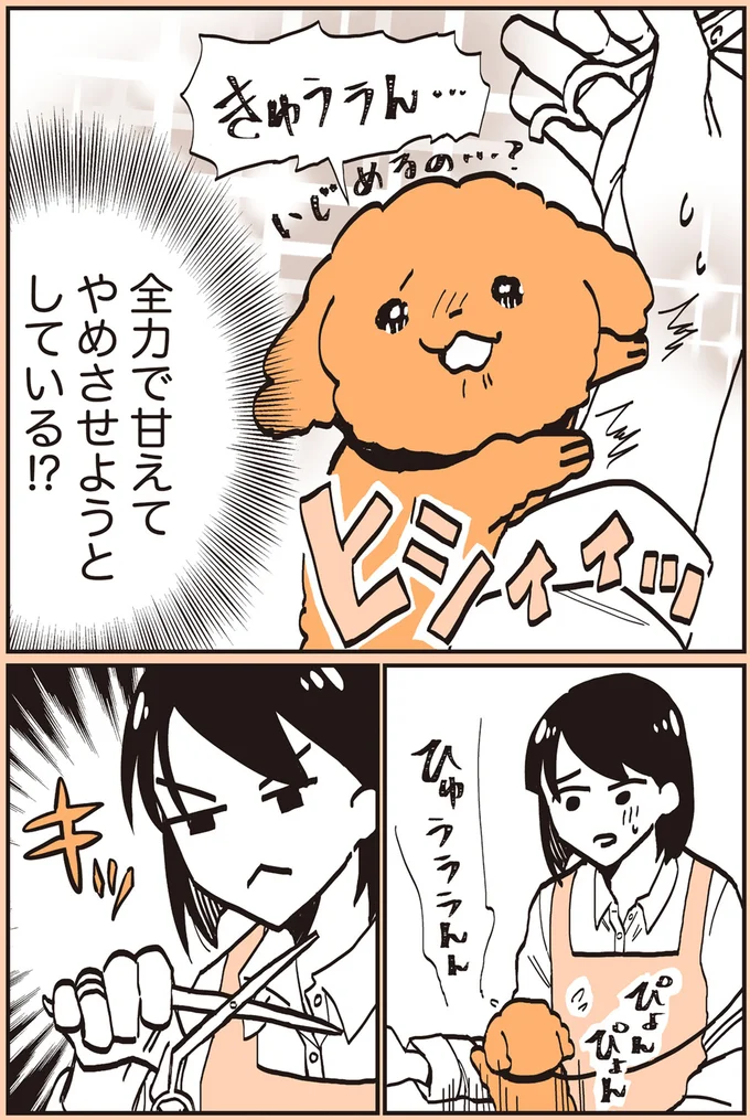 『うちのトイプーがアイドルすぎる。』より