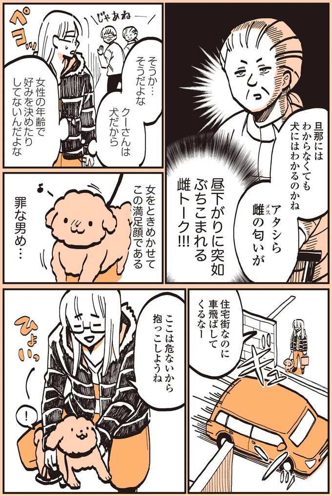 『うちのトイプーがアイドルすぎる。』より