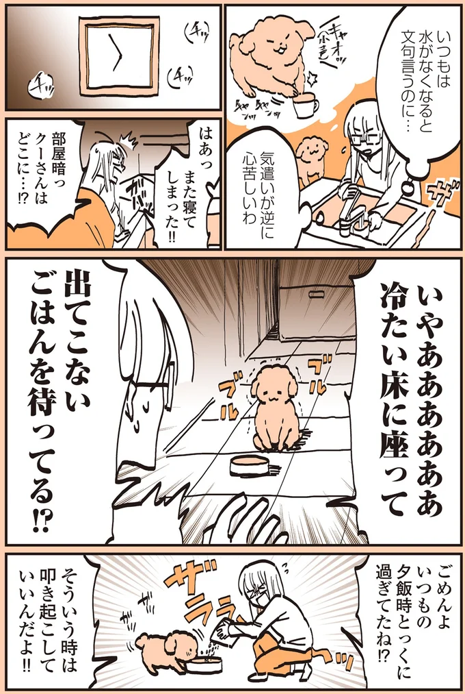 『うちのトイプーがアイドルすぎる。』より