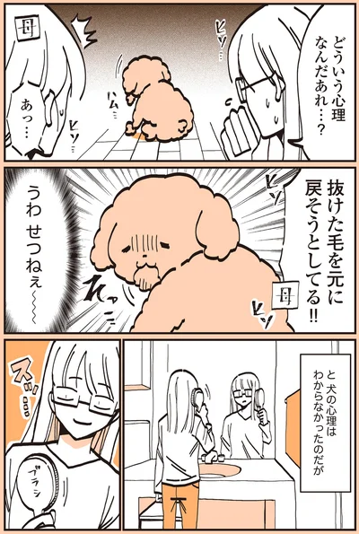 『うちのトイプーがアイドルすぎる。』より