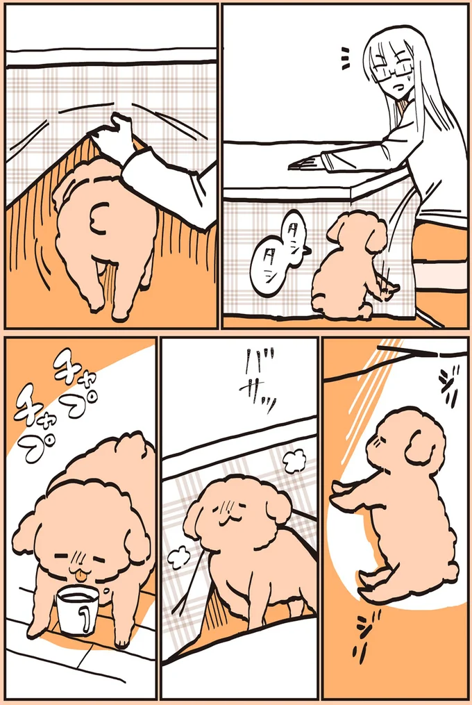 『うちのトイプーがアイドルすぎる。』より