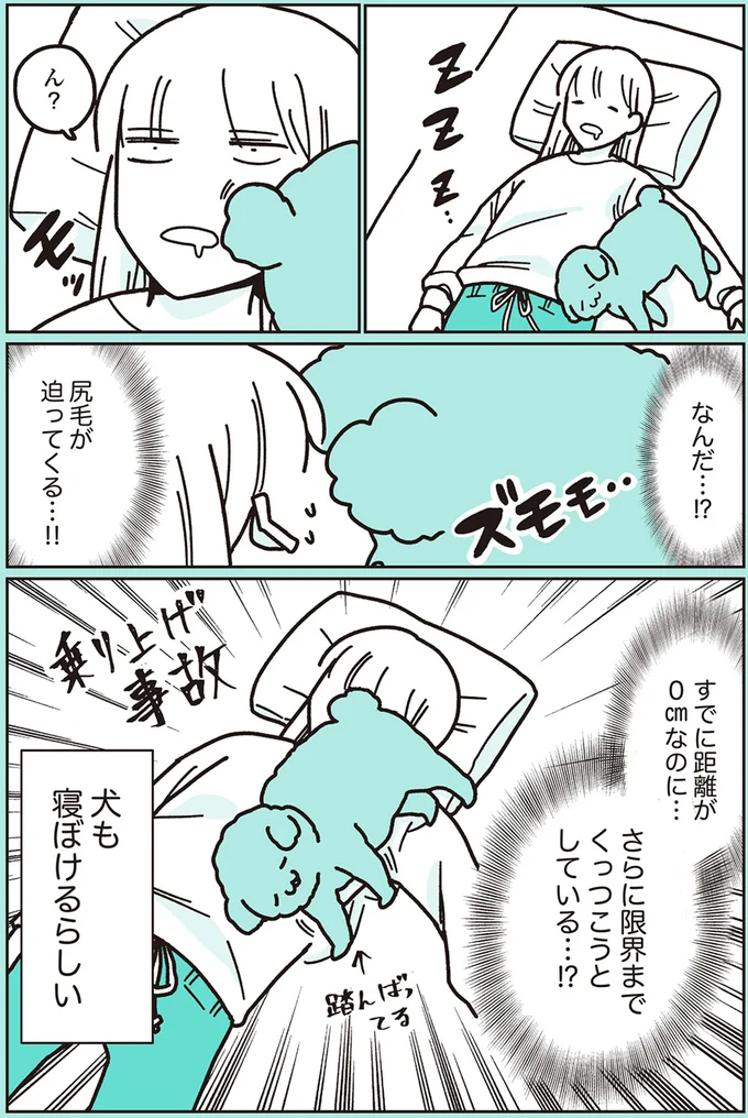 『うちのトイプーがアイドルすぎる。』より