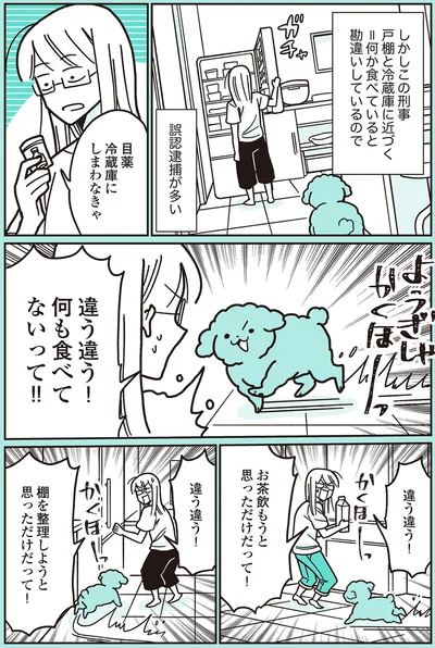 『うちのトイプーがアイドルすぎる。』より