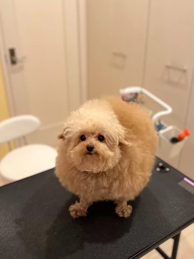 少し緊張顔！？▶おんなじお顔のふたり（⇒次へ）