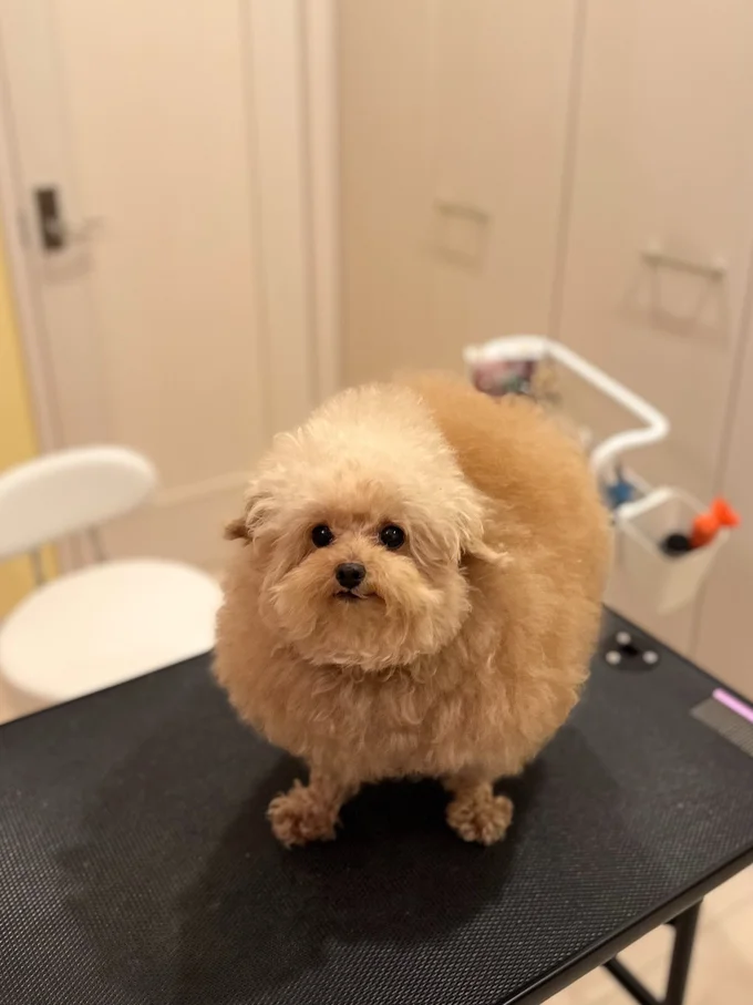 少し緊張顔！？▶おんなじお顔のふたり（⇒次へ）