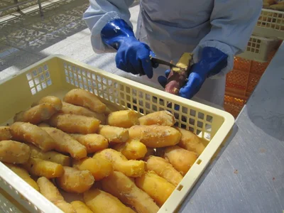 蒸した後のサツマイモは、手作業で皮をむき、スライスした後に天日干しします