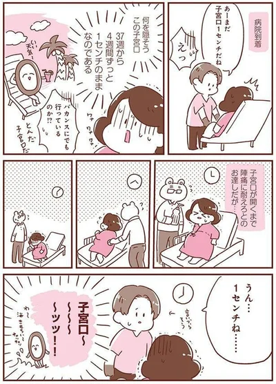 『365日アカチャン満喫生活』より