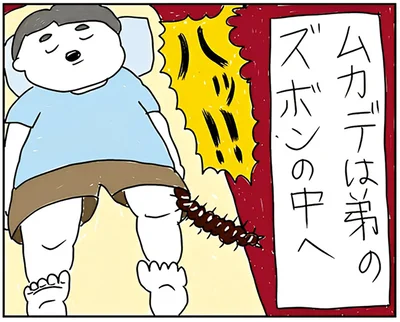 弟のズボンの中へ…