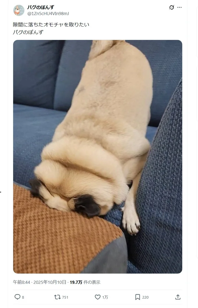 隙間に落ちたオモチャを取りたい▶とどいて…る?(⇒次へ)