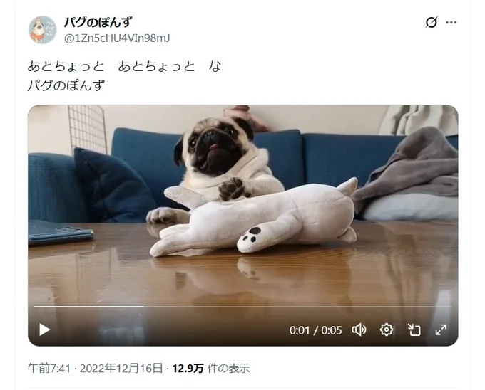 あとちょっとのぽんずちゃん▶もうすこしで…！（⇒次へ）