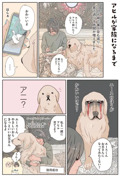 『エースくんとヨバンさん 犬とアヒルの友情物語』より