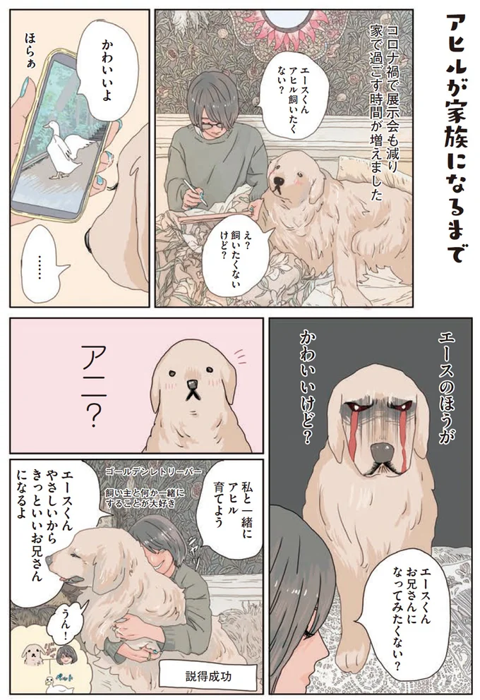 『エースくんとヨバンさん 犬とアヒルの友情物語』より