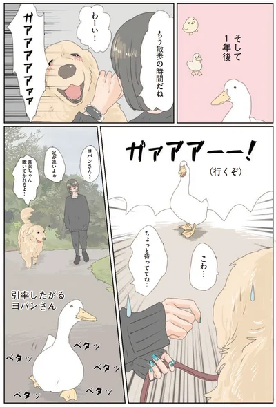 『エースくんとヨバンさん 犬とアヒルの友情物語』より