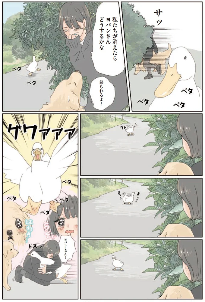 『エースくんとヨバンさん 犬とアヒルの友情物語』より