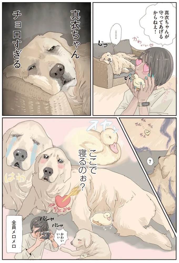 『エースくんとヨバンさん 犬とアヒルの友情物語』より
