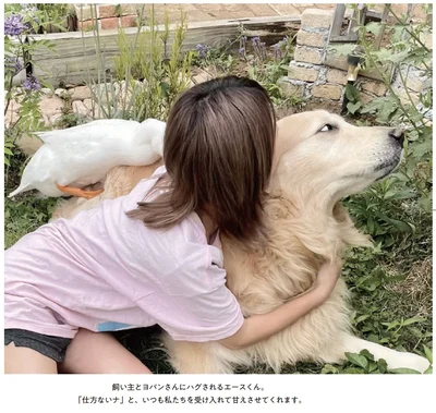 『エースくんとヨバンさん 犬とアヒルの友情物語』より