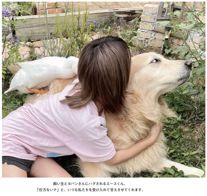 『エースくんとヨバンさん 犬とアヒルの友情物語』より