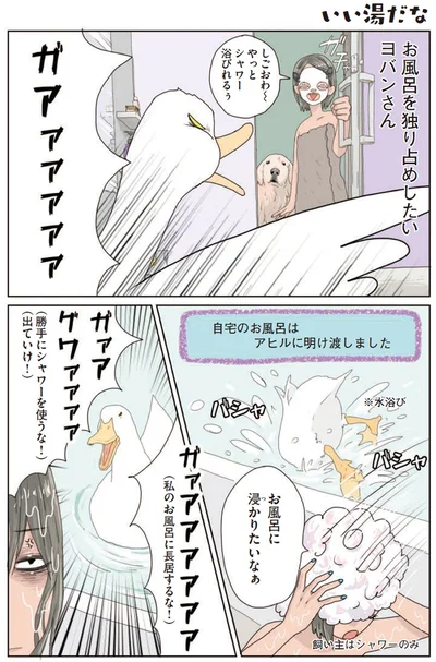 『エースくんとヨバンさん 犬とアヒルの友情物語』より