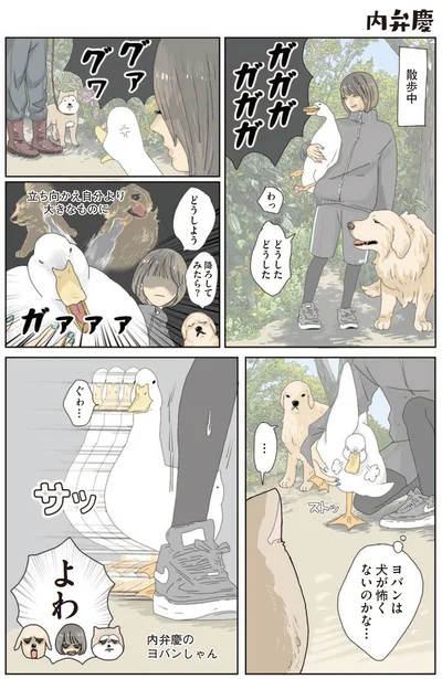 『エースくんとヨバンさん 犬とアヒルの友情物語』より