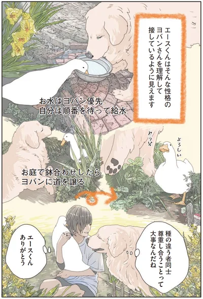 『エースくんとヨバンさん 犬とアヒルの友情物語』より