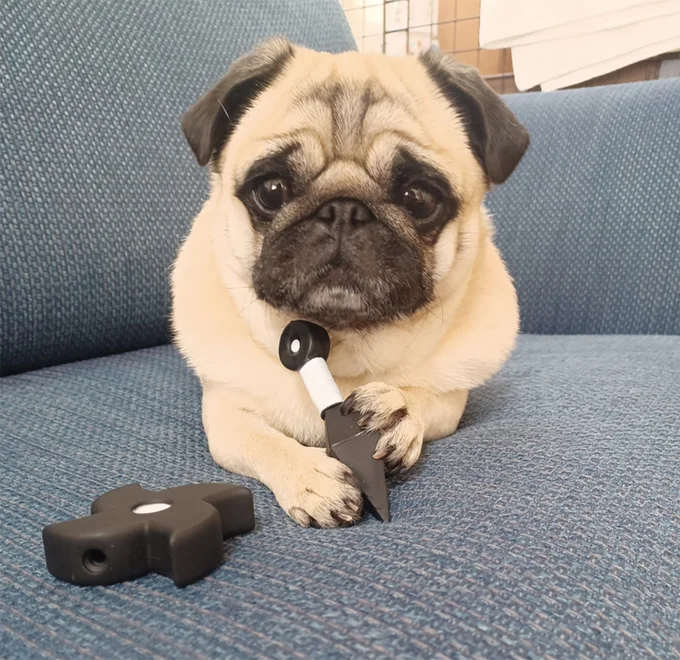 お気に入りのおもちゃ▶うおおおおお！（⇒次へ）