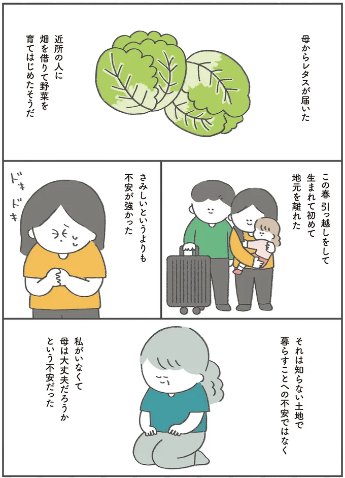 母からレタスが届いた