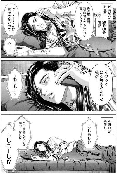 たこ焼きみたいな猫が…