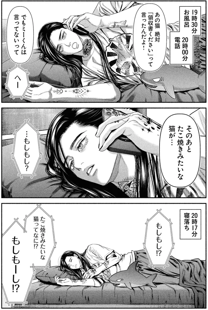 たこ焼きみたいな猫が…