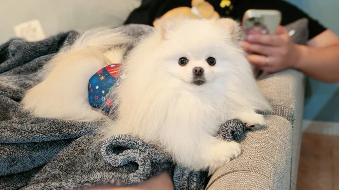 こんな感じ！お手々がかわいい！▶そしてくつろぐうにちゃんは（⇒次へ）