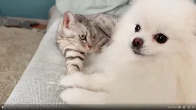 強い絆や信頼関係を感じますね！▶大きな窓の近くで（⇒次へ）