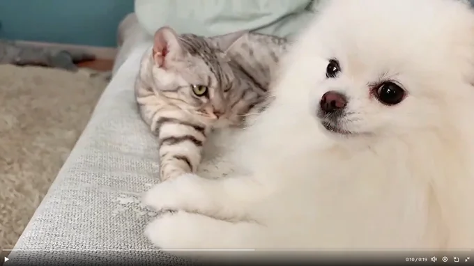 強い絆や信頼関係を感じますね！▶大きな窓の近くで（⇒次へ）