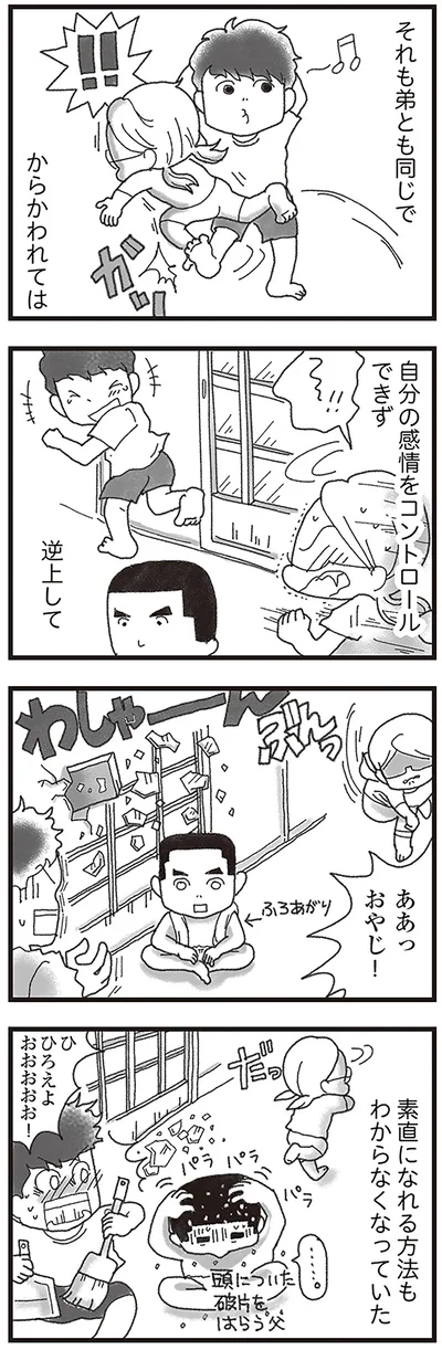 『16歳で帰らなくなった弟』より