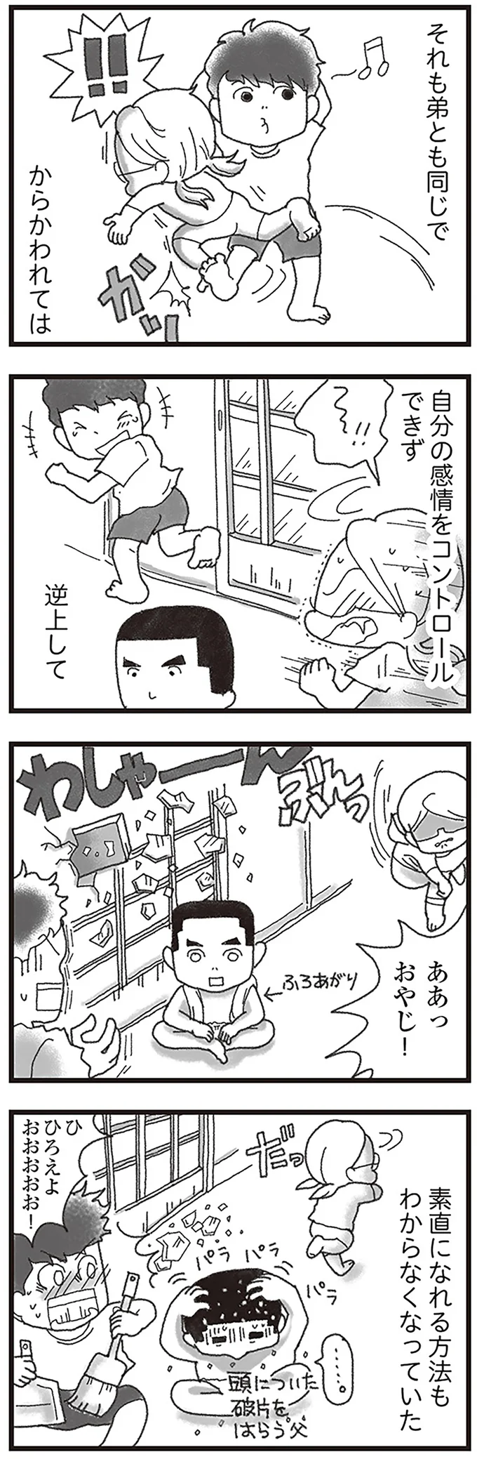 『16歳で帰らなくなった弟』より