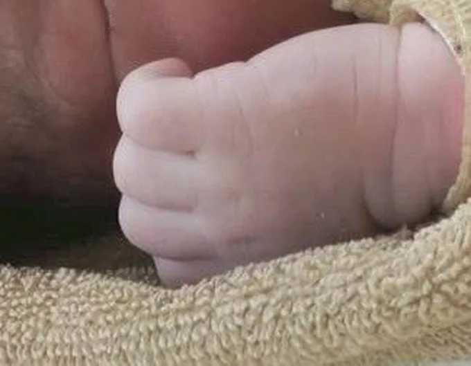 生まれたばかりの息子さん▶絵になる家族写真（⇒次へ）