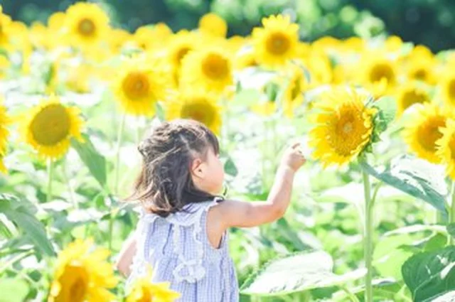 2歳児の“全力イヤイヤ”が生んだ奇跡の家族写真!「パパママおつかれさま」「これも良い思い出」