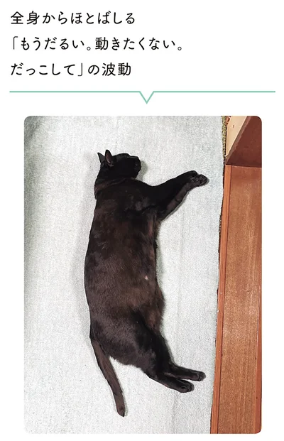 「もうだるい。動きたくない。抱っこして」
